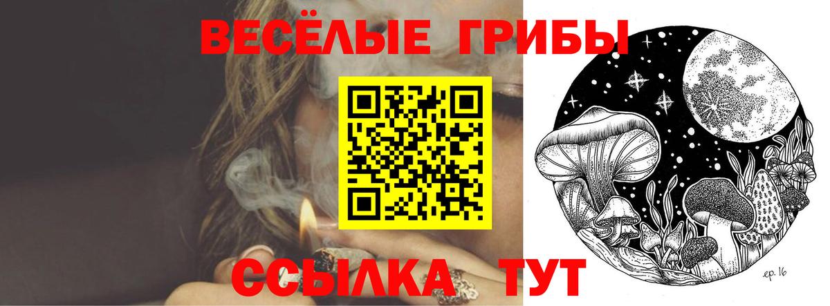 Галлюциногенные грибы Magic Shrooms Северобайкальск