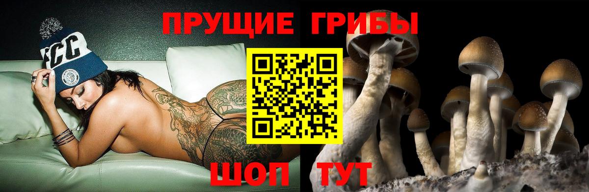 Северобайкальск  закладки  Вход с VPN  Галлюциногенные грибы MAGIC MUSHROOMS  Псилоцибиновые грибы GOLDEN TEACHER 